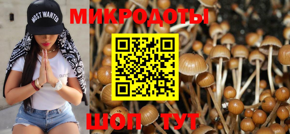Галлюциногенные грибы мухоморы Отрадный