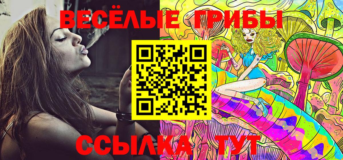 Псилоцибиновые грибы Psilocybine cubensis  Вход с VPN  Отрадный  где продают наркотики  Галлюциногенные грибы прущие грибы 